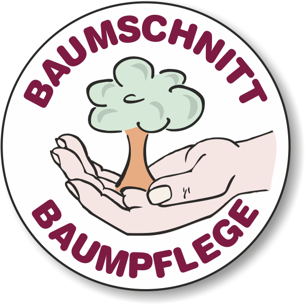 Baum zu gross Baumschnitt Baumpflege Martin Koob